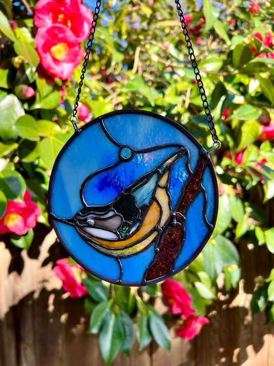 Nuthatches