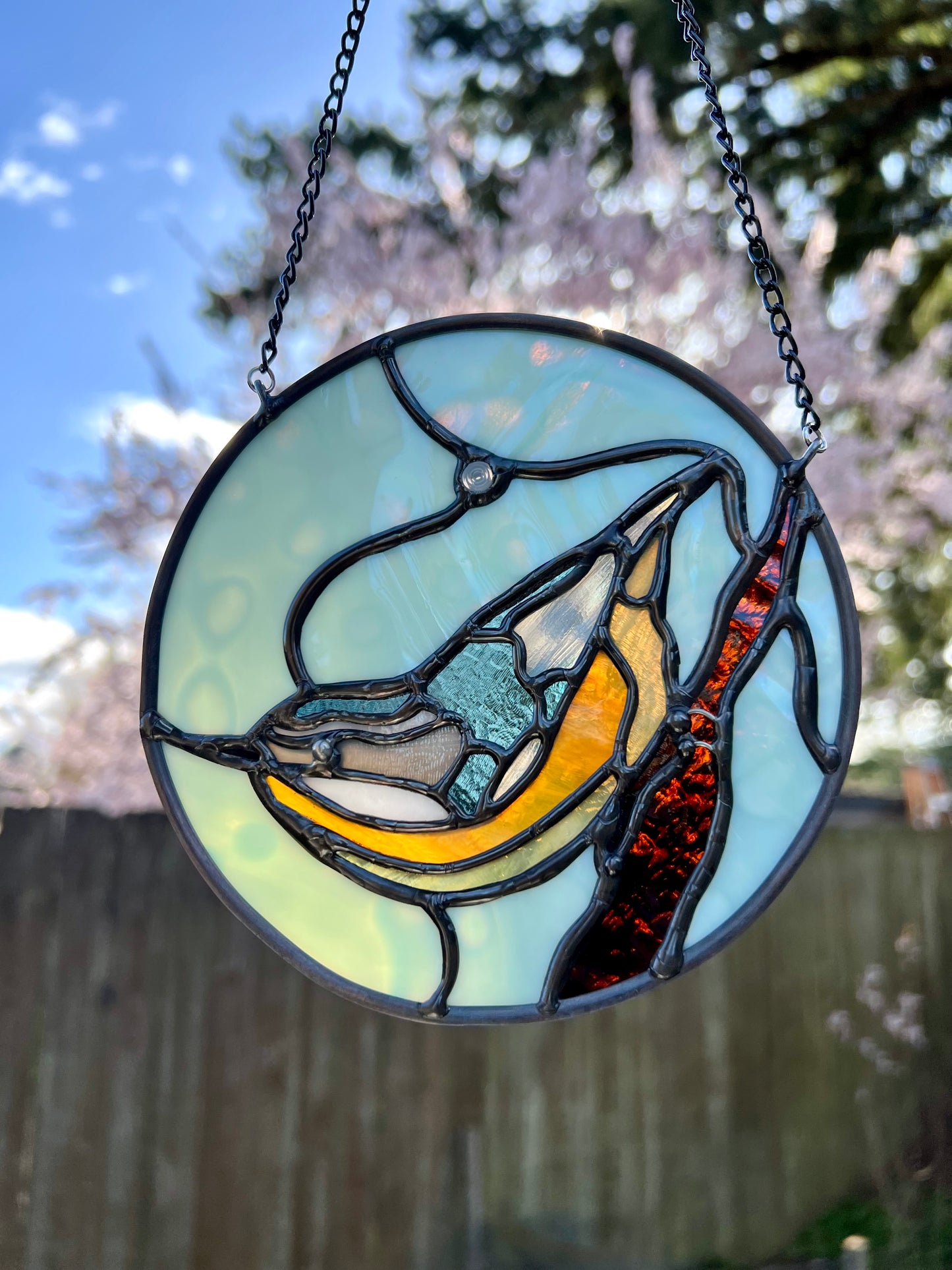 Nuthatches